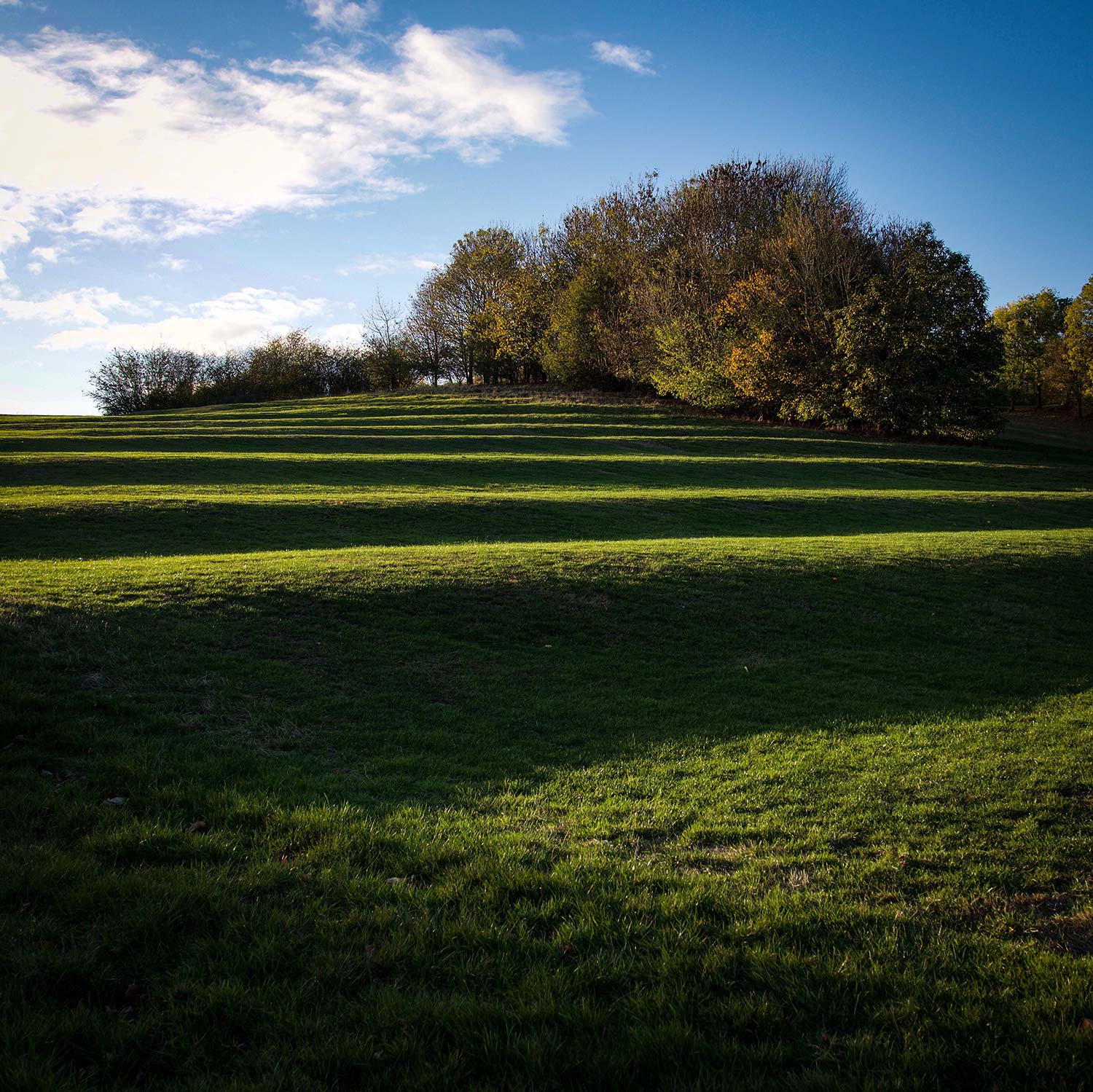 Ridge and furrow, Newbold Comyn, Leamington Spa