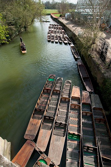 Punts on the River Cherwell, Oxford