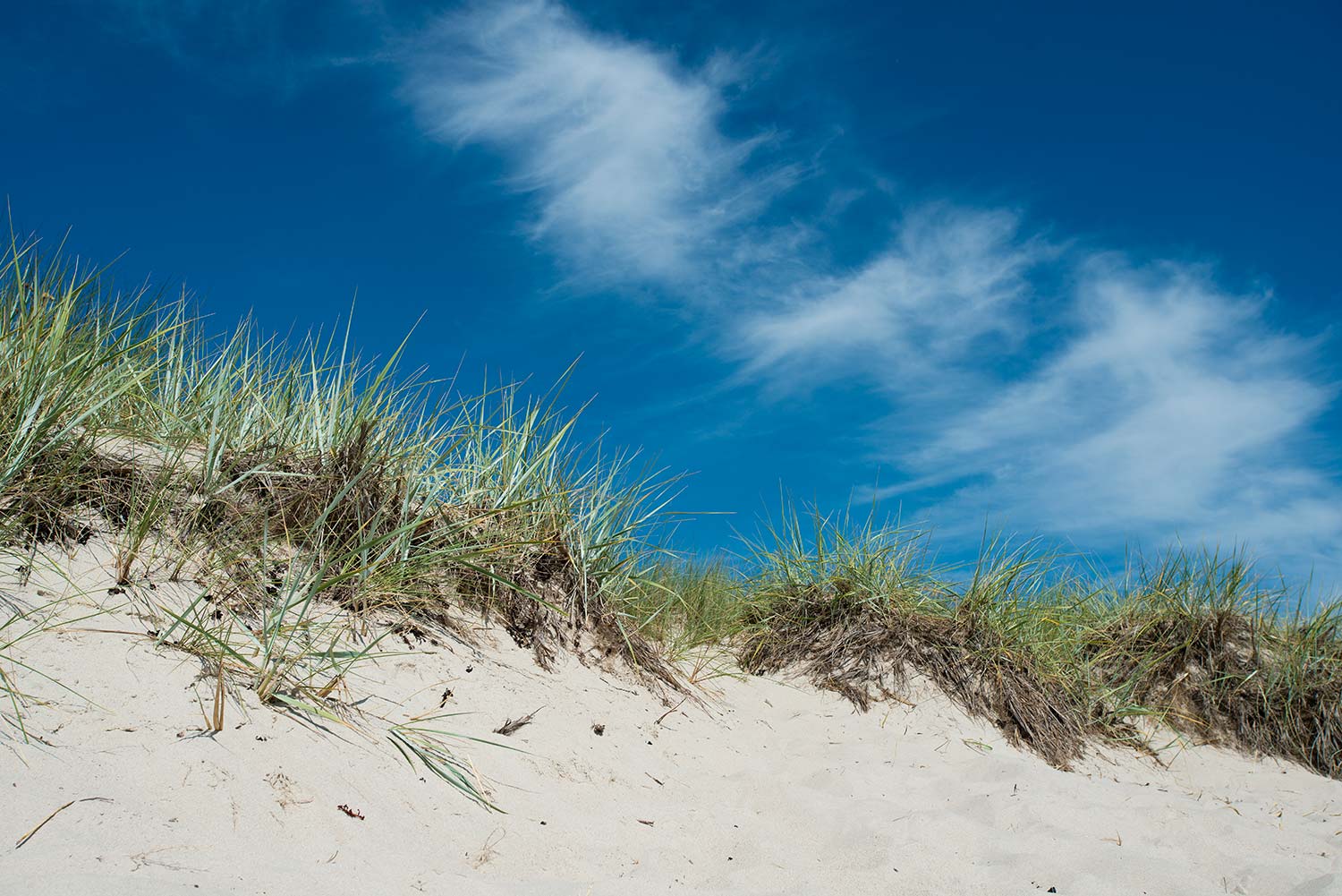 Sandhammaren, Sweden