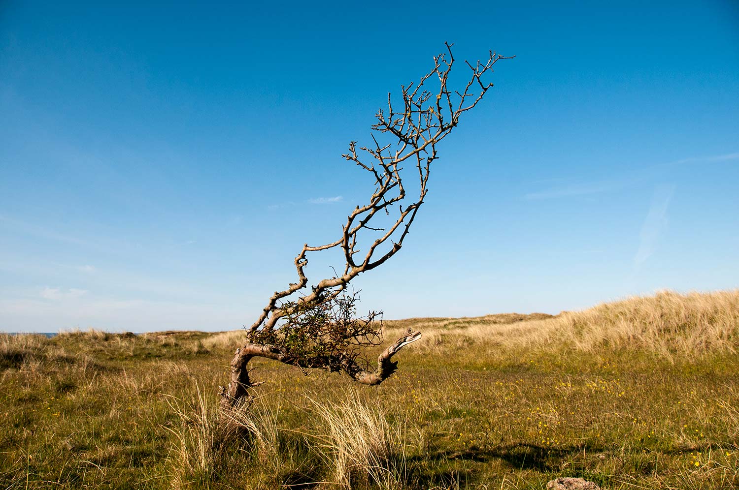 Lindisfarne, Northumberland