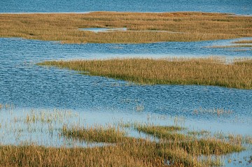 West Wittering, Sussex