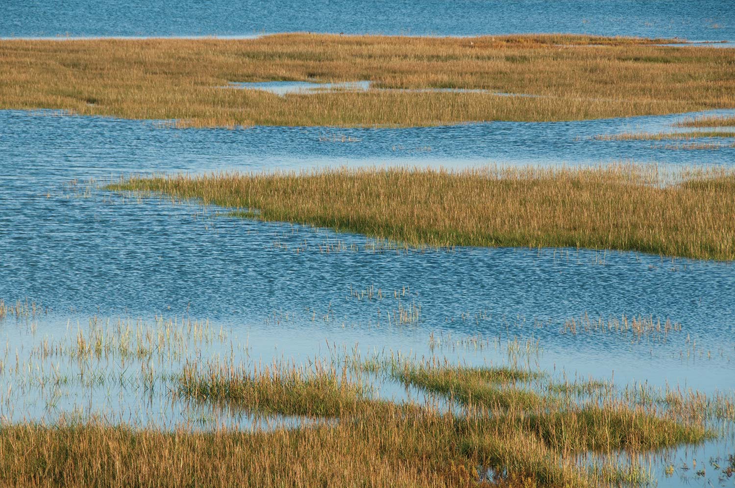 West Wittering, Sussex